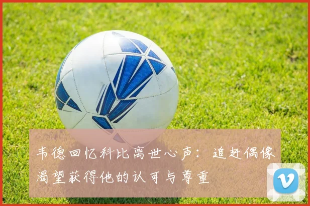 韦德回忆科比离世心声：追赶偶像渴望获得他的认可与尊重