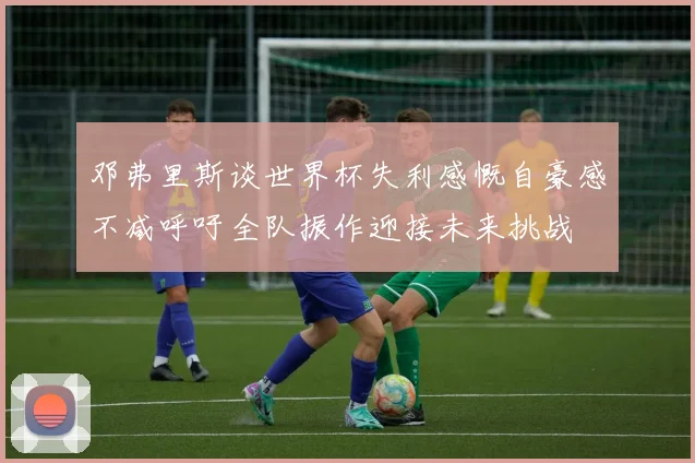 邓弗里斯谈世界杯失利感慨自豪感不减呼吁全队振作迎接未来挑战